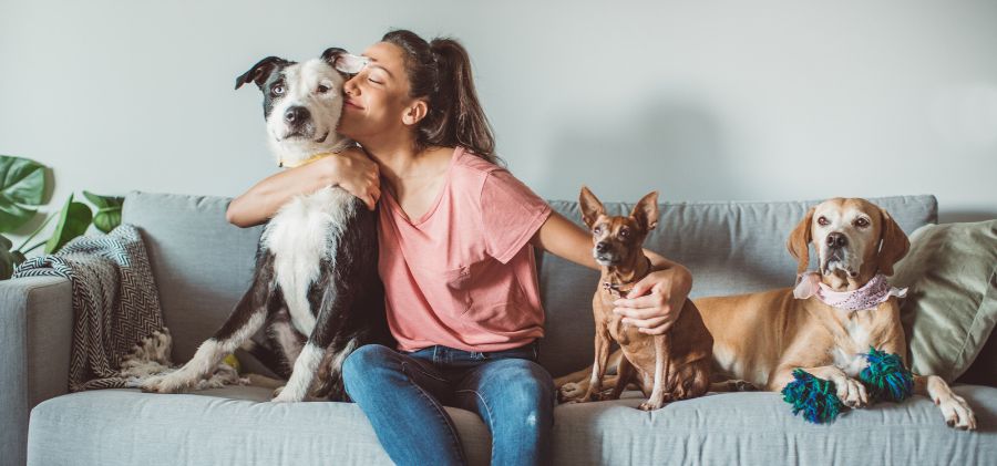 Vivi in un condominio e hai un animale domestico? Ecco tutto quello che devi sapere per vivere serenamente!